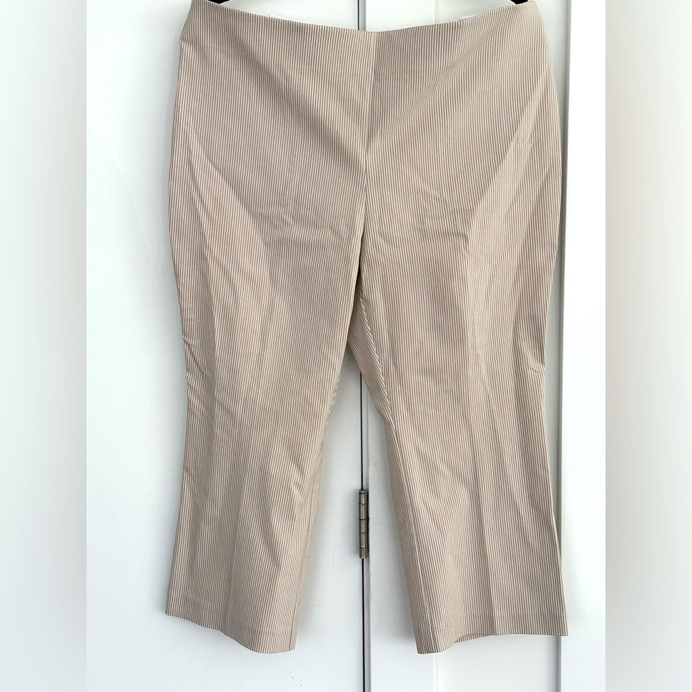 Counterparts Women’s Pants